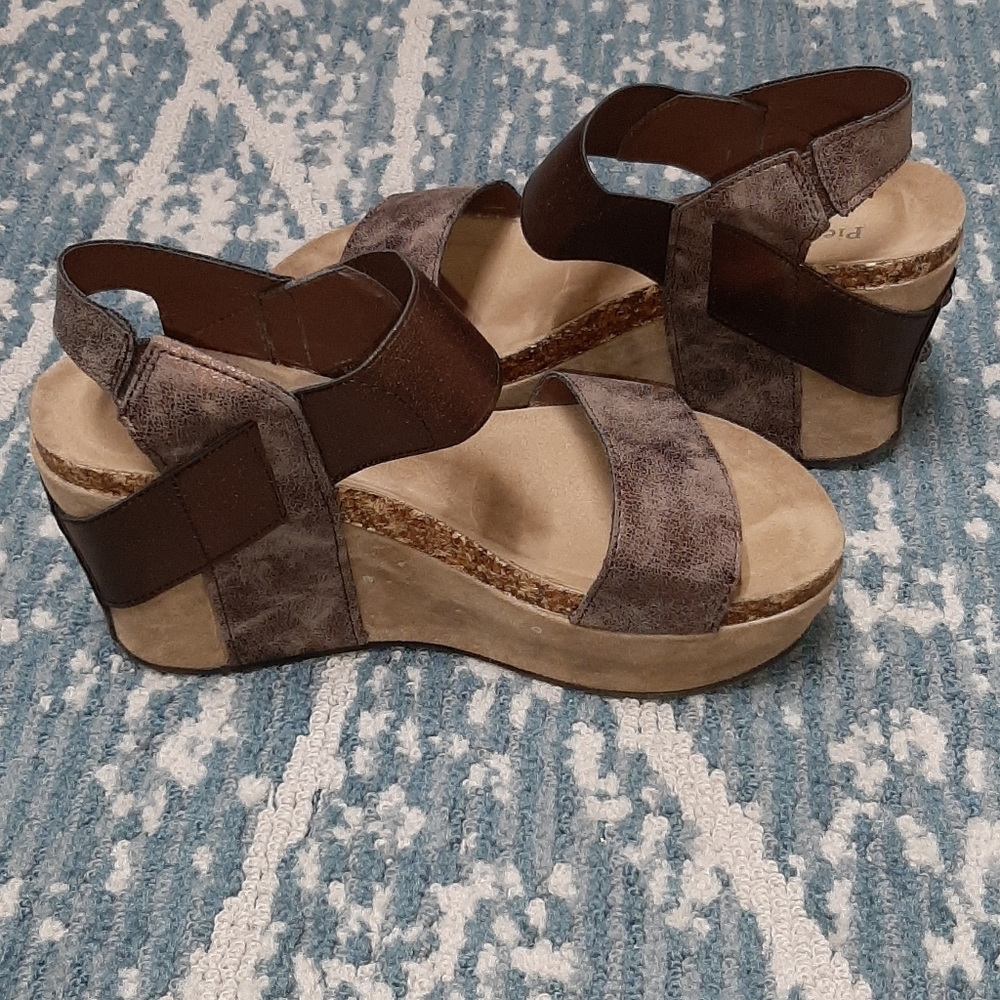 Pierre Dumas wedges